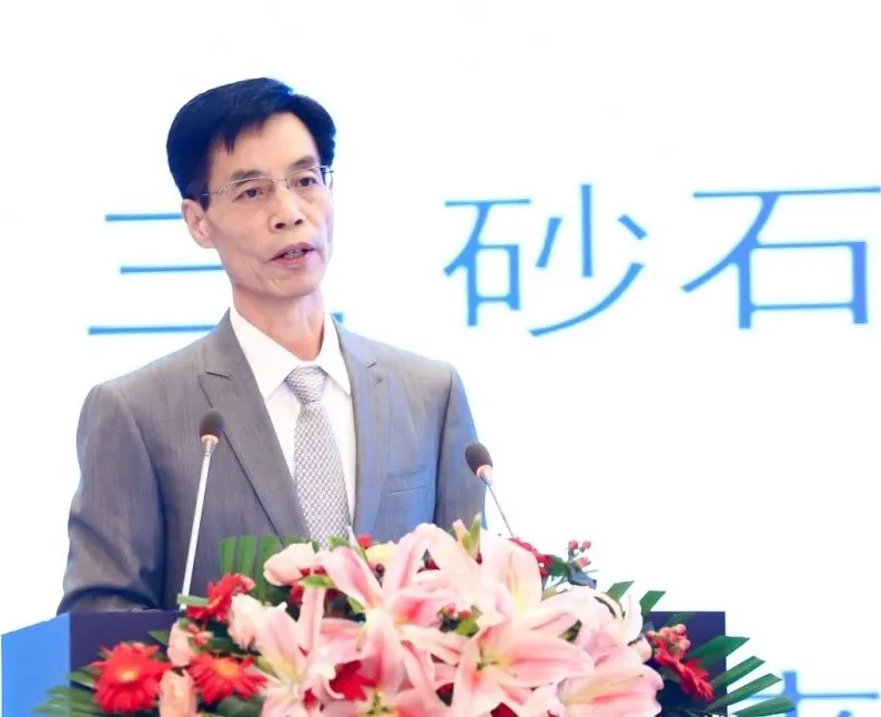 主旨報(bào)告 | 胡幼奕以國際化視角，提出固廢綜合利用和生態(tài)環(huán)境修復(fù)新思路